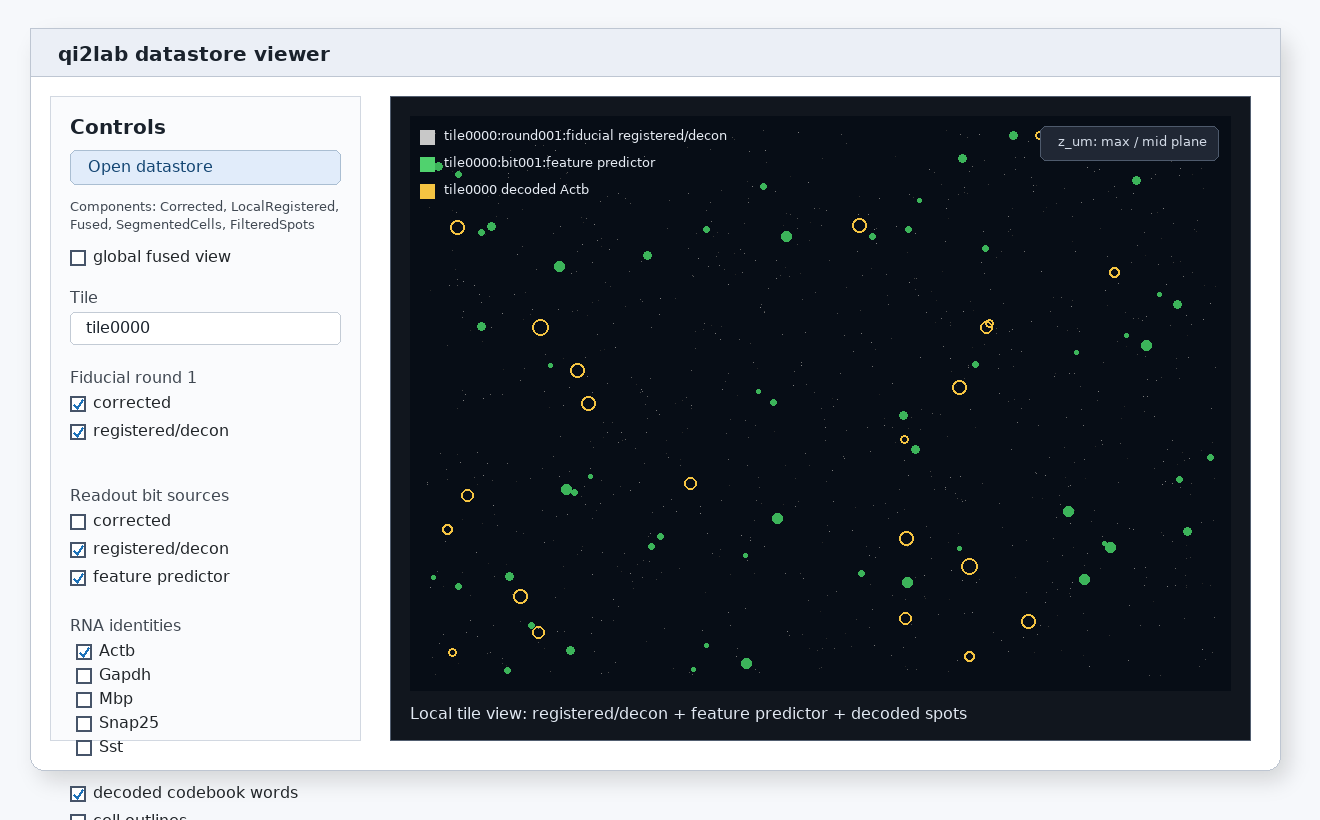 NDV local tile viewer showing corrected, deconvolved, feature predictor, and overlay controls.